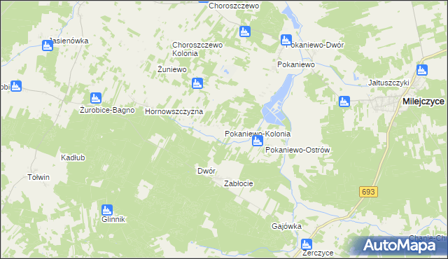 mapa Pokaniewo-Kolonia, Pokaniewo-Kolonia na mapie Targeo