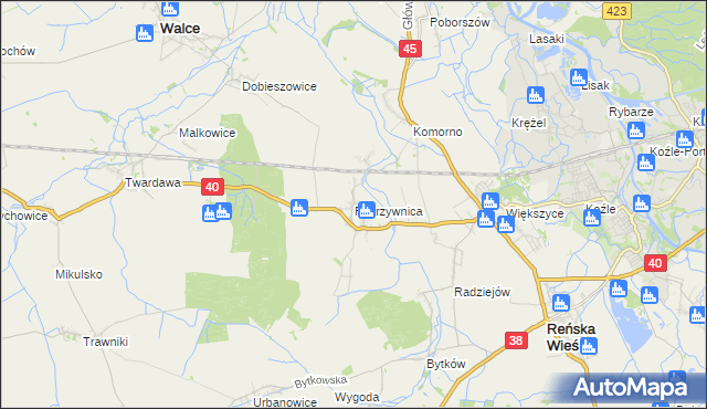 mapa Pokrzywnica gmina Reńska Wieś, Pokrzywnica gmina Reńska Wieś na mapie Targeo