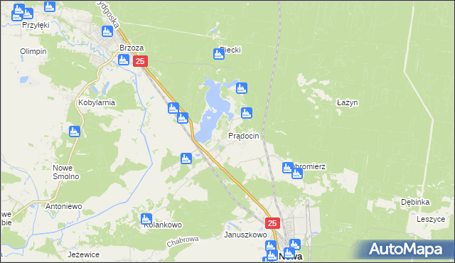 mapa Prądocin gmina Nowa Wieś Wielka, Prądocin gmina Nowa Wieś Wielka na mapie Targeo