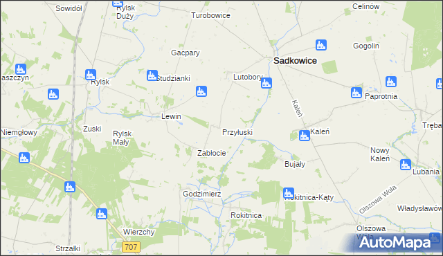 mapa Przyłuski gmina Sadkowice, Przyłuski gmina Sadkowice na mapie Targeo