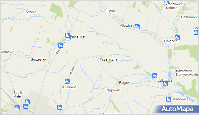 mapa Pszeniczna, Pszeniczna na mapie Targeo