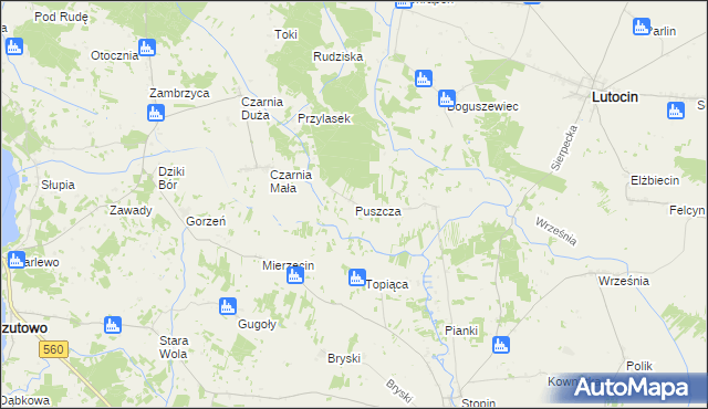 mapa Puszcza gmina Rościszewo, Puszcza gmina Rościszewo na mapie Targeo