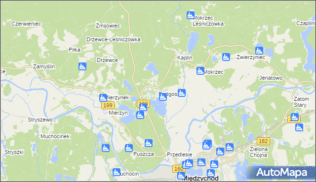 mapa Radgoszcz gmina Międzychód, Radgoszcz gmina Międzychód na mapie Targeo