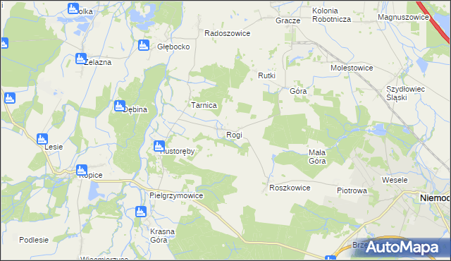 mapa Rogi gmina Niemodlin, Rogi gmina Niemodlin na mapie Targeo