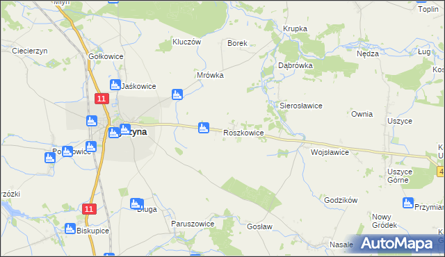 mapa Roszkowice gmina Byczyna, Roszkowice gmina Byczyna na mapie Targeo