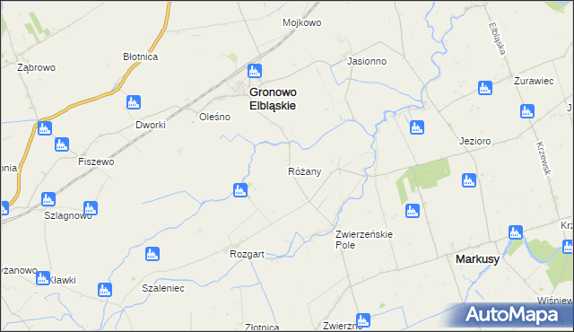 mapa Różany gmina Gronowo Elbląskie, Różany gmina Gronowo Elbląskie na mapie Targeo