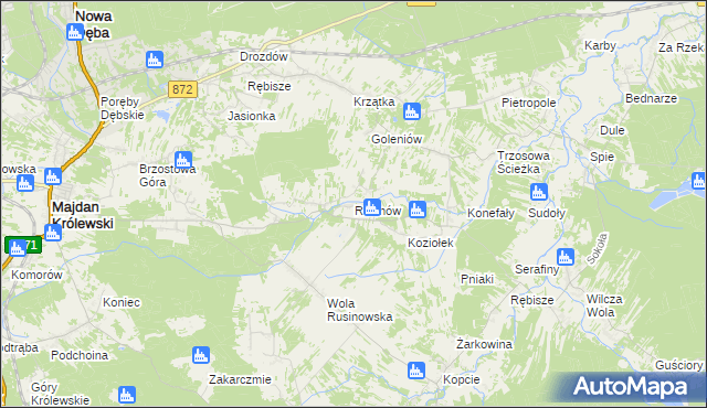 mapa Rusinów gmina Majdan Królewski, Rusinów gmina Majdan Królewski na mapie Targeo