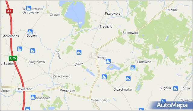 mapa Ryńsk, Ryńsk na mapie Targeo