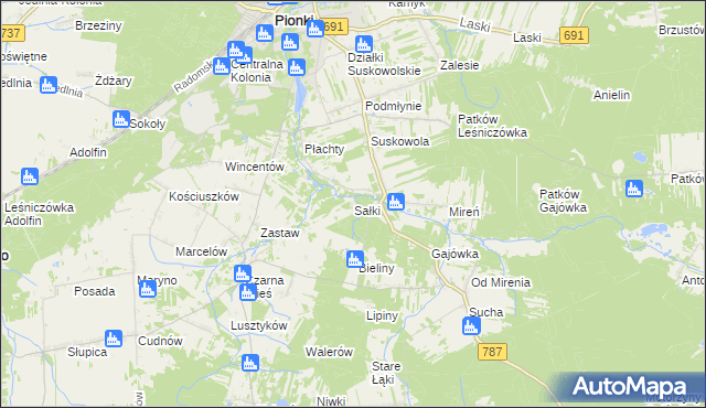 mapa Sałki gmina Pionki, Sałki gmina Pionki na mapie Targeo