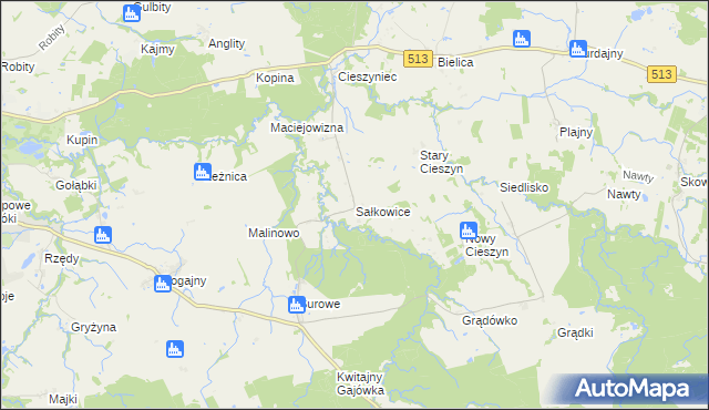 mapa Sałkowice, Sałkowice na mapie Targeo