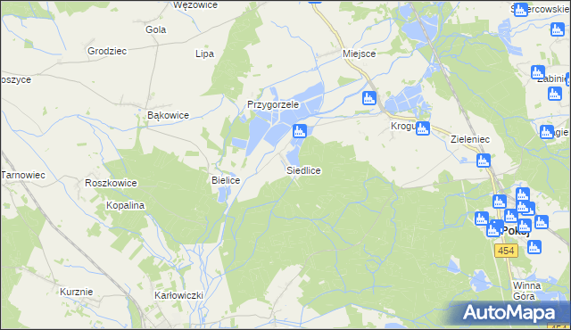 mapa Siedlice gmina Pokój, Siedlice gmina Pokój na mapie Targeo