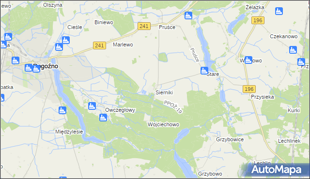 mapa Sierniki gmina Rogoźno, Sierniki gmina Rogoźno na mapie Targeo
