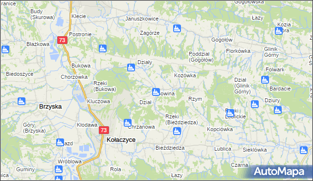 mapa Sowina gmina Kołaczyce, Sowina gmina Kołaczyce na mapie Targeo