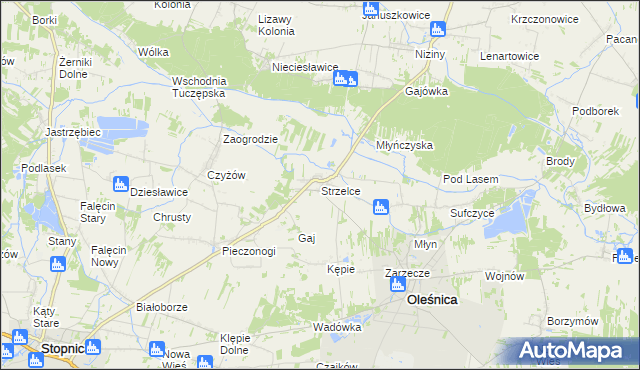 mapa Strzelce gmina Oleśnica, Strzelce gmina Oleśnica na mapie Targeo