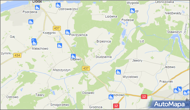 mapa Studzianna gmina Borek Wielkopolski, Studzianna gmina Borek Wielkopolski na mapie Targeo