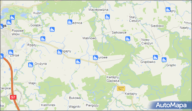mapa Surowe gmina Pasłęk, Surowe gmina Pasłęk na mapie Targeo