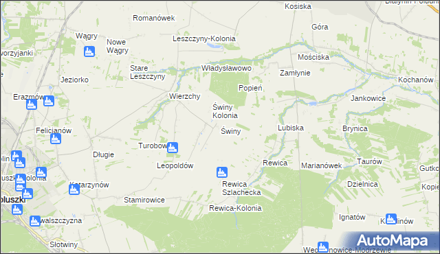 mapa Świny gmina Koluszki, Świny gmina Koluszki na mapie Targeo