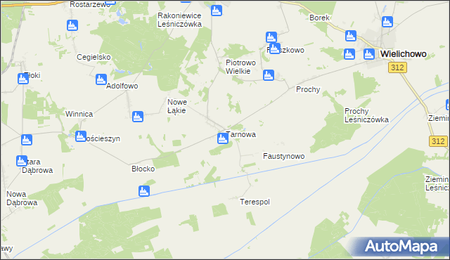 mapa Tarnowa gmina Rakoniewice, Tarnowa gmina Rakoniewice na mapie Targeo