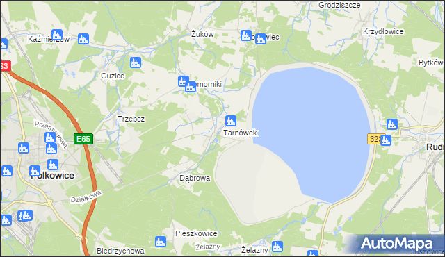 mapa Tarnówek gmina Polkowice, Tarnówek gmina Polkowice na mapie Targeo