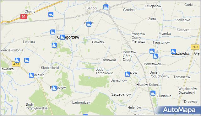 mapa Tarnówka gmina Grzegorzew, Tarnówka gmina Grzegorzew na mapie Targeo