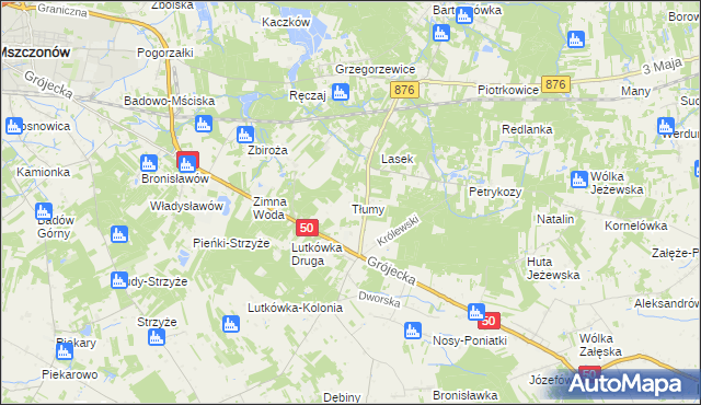 mapa Tłumy gmina Mszczonów, Tłumy gmina Mszczonów na mapie Targeo