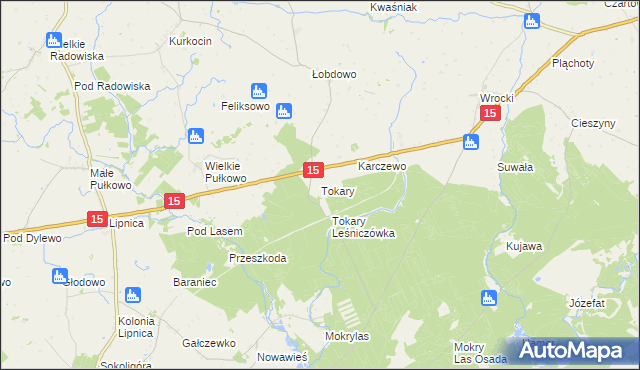 mapa Tokary gmina Golub-Dobrzyń, Tokary gmina Golub-Dobrzyń na mapie Targeo