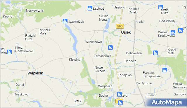 mapa Tomaszewo gmina Osiek, Tomaszewo gmina Osiek na mapie Targeo