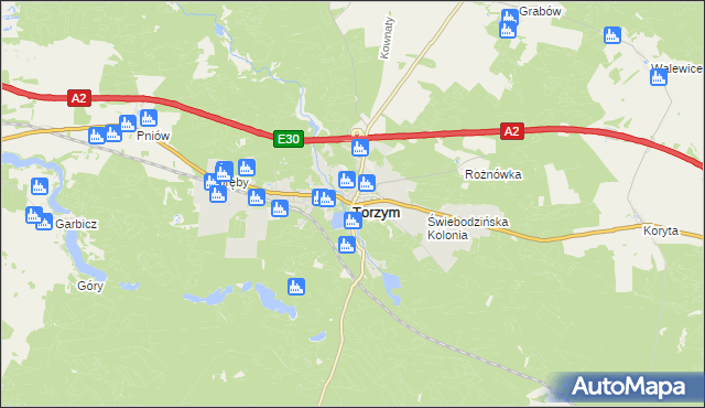 mapa Torzym, Torzym na mapie Targeo