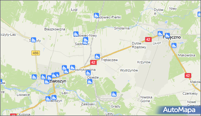 mapa Trębaczew gmina Działoszyn, Trębaczew gmina Działoszyn na mapie Targeo