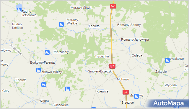 mapa Trzcianka gmina Przasnysz, Trzcianka gmina Przasnysz na mapie Targeo