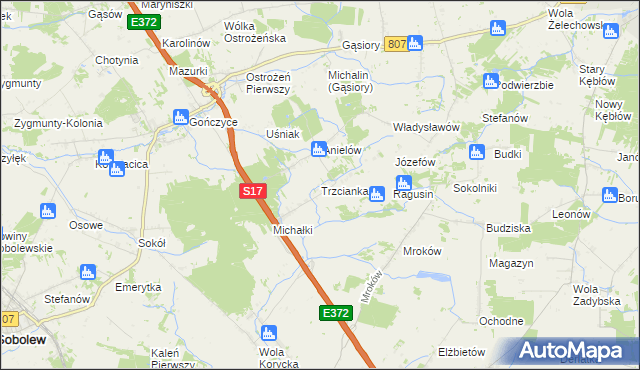 mapa Trzcianka gmina Sobolew, Trzcianka gmina Sobolew na mapie Targeo