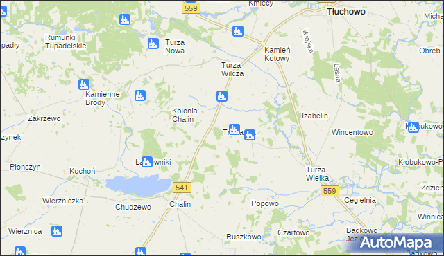 mapa Trzcianka gmina Tłuchowo, Trzcianka gmina Tłuchowo na mapie Targeo