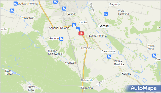 mapa Trzciniec gmina Lubartów, Trzciniec gmina Lubartów na mapie Targeo