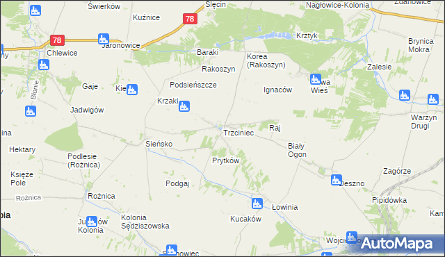 mapa Trzciniec gmina Nagłowice, Trzciniec gmina Nagłowice na mapie Targeo