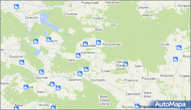 mapa Trzcinka gmina Brąszewice, Trzcinka gmina Brąszewice na mapie Targeo