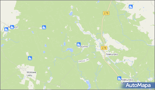 mapa Trzcinno gmina Człopa, Trzcinno gmina Człopa na mapie Targeo