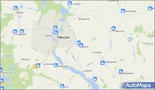 mapa Trzęsacz gmina Pełczyce, Trzęsacz gmina Pełczyce na mapie Targeo