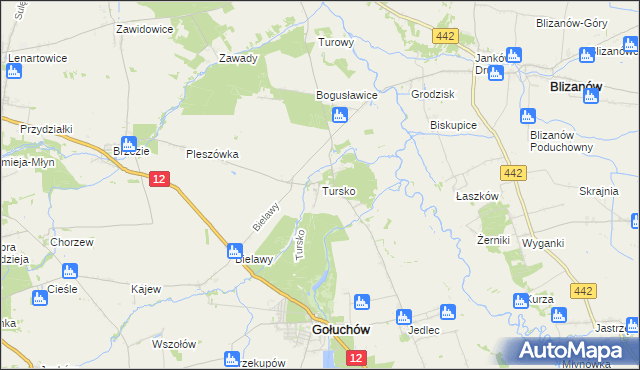 mapa Tursko gmina Gołuchów, Tursko gmina Gołuchów na mapie Targeo