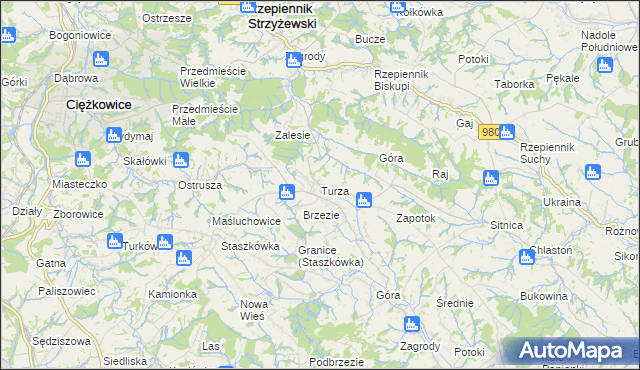 mapa Turza gmina Rzepiennik Strzyżewski, Turza gmina Rzepiennik Strzyżewski na mapie Targeo