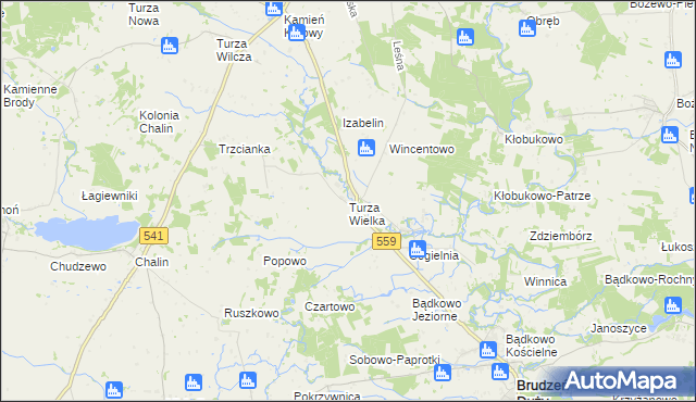 mapa Turza Wielka gmina Brudzeń Duży, Turza Wielka gmina Brudzeń Duży na mapie Targeo