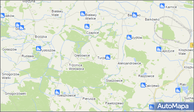 mapa Turzany gmina Wińsko, Turzany gmina Wińsko na mapie Targeo