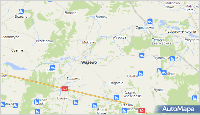 mapa Wąsewo-Kolonia, Wąsewo-Kolonia na mapie Targeo