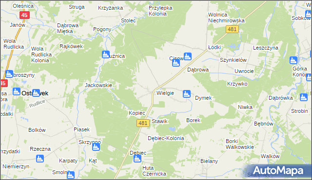 mapa Wielgie gmina Ostrówek, Wielgie gmina Ostrówek na mapie Targeo