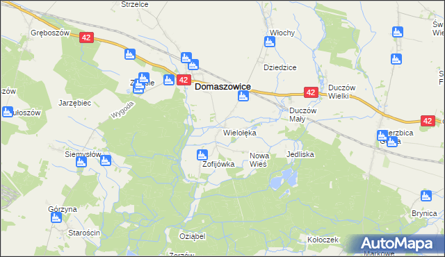 mapa Wielołęka gmina Domaszowice, Wielołęka gmina Domaszowice na mapie Targeo