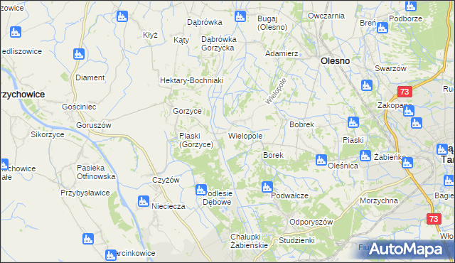 mapa Wielopole gmina Olesno, Wielopole gmina Olesno na mapie Targeo