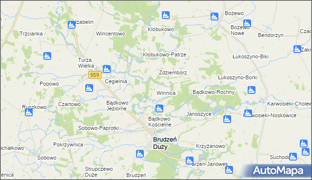 mapa Winnica gmina Brudzeń Duży, Winnica gmina Brudzeń Duży na mapie Targeo
