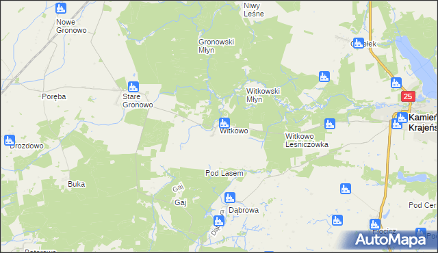 mapa Witkowo gmina Kamień Krajeński, Witkowo gmina Kamień Krajeński na mapie Targeo