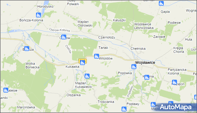 mapa Witoldów gmina Wojsławice, Witoldów gmina Wojsławice na mapie Targeo