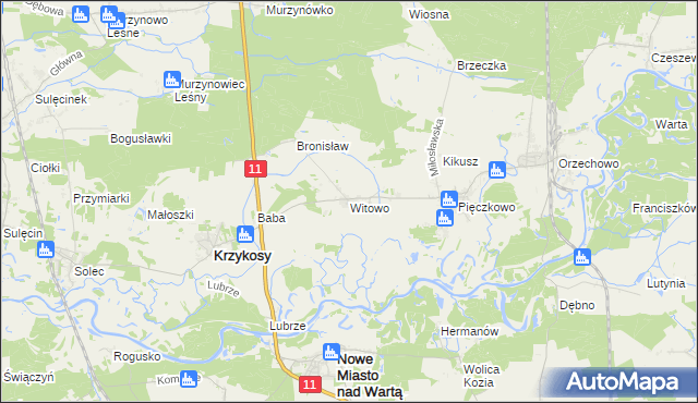 mapa Witowo gmina Krzykosy, Witowo gmina Krzykosy na mapie Targeo