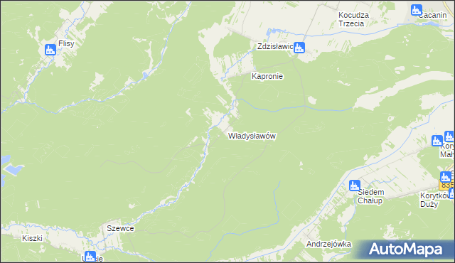 mapa Władysławów gmina Dzwola, Władysławów gmina Dzwola na mapie Targeo